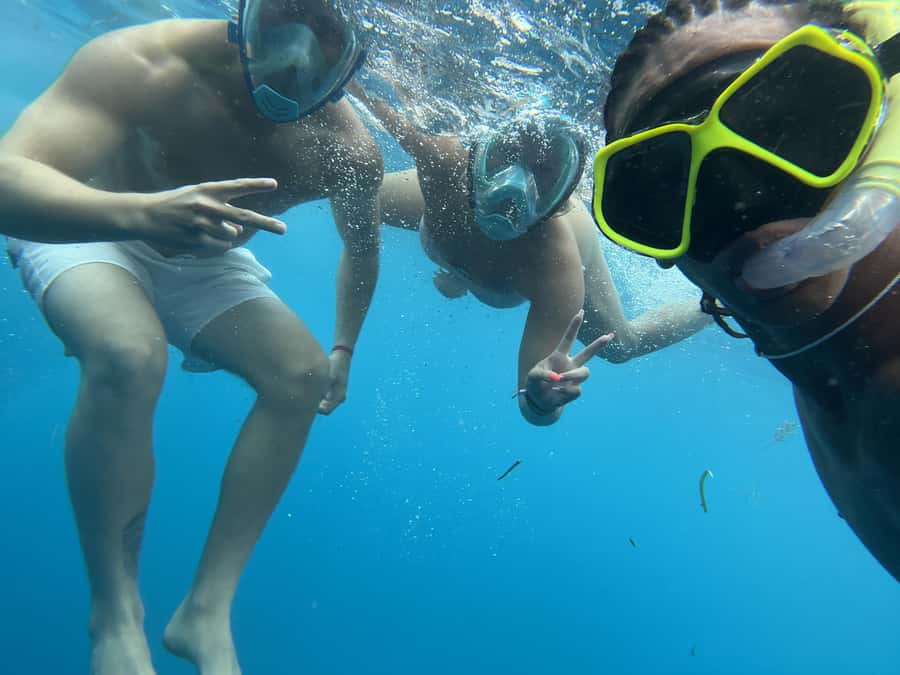 Mnemba dolphin & snorkel: from matemwe, pwani, kwingwa, Uroa - Key points before you book