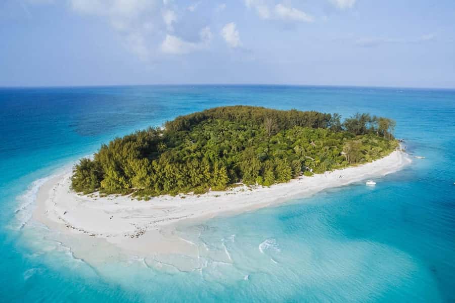 Mnemba dolphin & snorkel: from matemwe, pwani, kwingwa, Uroa - Snorkeling around Mnemba Island
