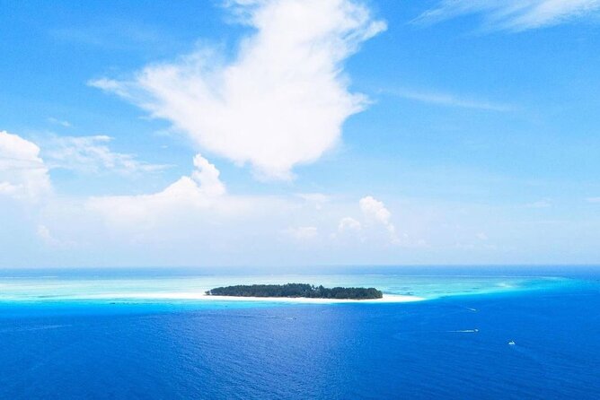 Mnemba Dolphin Tour, Clear Kayak, Cooking Class, Horse Riding - Mnemba Island snorkeling, the day’s main attraction