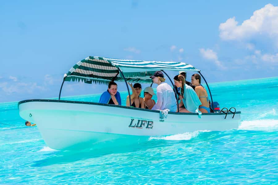 Mnemba Island: Dolphin Swim & Snorkeling with Optional Lunch - The sandy stop, fruit, and beach time