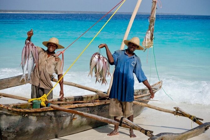 Mnemba Island Half Day Live Aquarium With Transfer - Zanzibar - The real appeal: a natural aquarium off Zanzibar