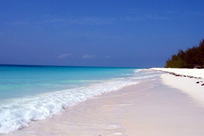 Mnemba Island Half Day Live Aquarium With Transfer - Zanzibar - Dolphin watching: worthwhile, but never guaranteed