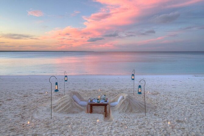 Mnemba Island Half Day Live Aquarium With Transfer - Zanzibar - Fruit, snacks, and what to bring