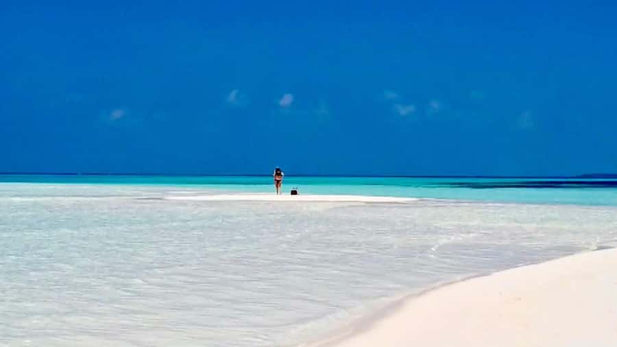 Mnemba Island, Jozani Forest, Starfish Adventure, The Rock - Why this Zanzibar day covers so much ground