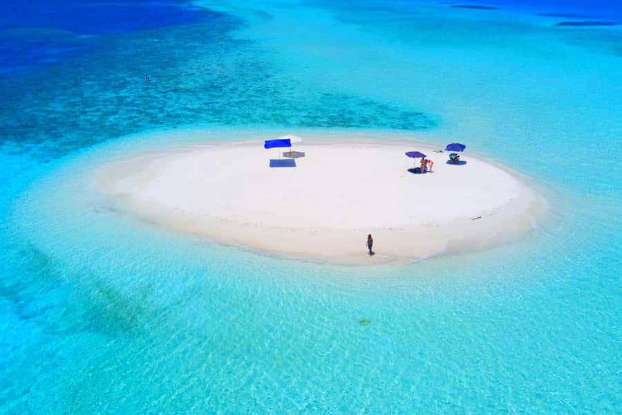 Mnemba Island, Jozani Forest, Starfish Adventure, The Rock - Mnemba Atoll: snorkeling, dolphins, and the sandbank