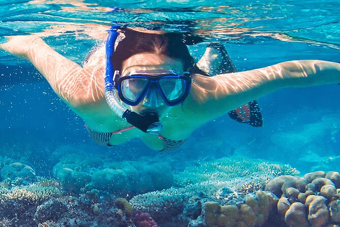 Mnemba Island Marine Safari Snorkeling and Dolphin Watching - Booking advice for a smoother morning