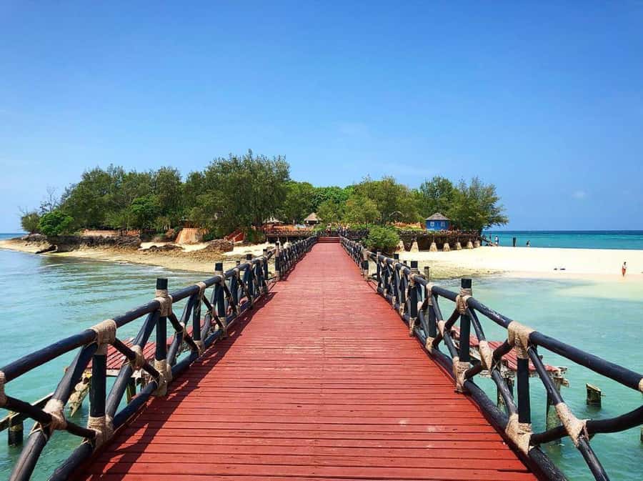 Mnemba Island, Prison Island, Secret Garden, Jozani Forest - Mnemba Atoll, dolphins, and a shallow-water sandbank