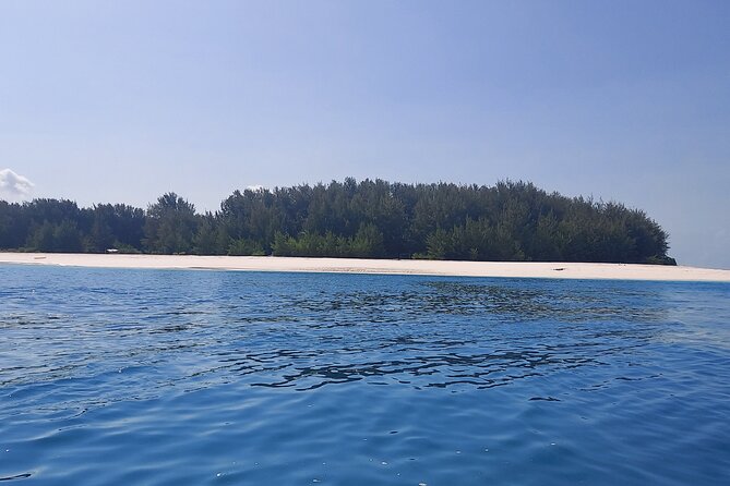 Mnemba Island Snorkeling and Dolphin tour - Key points before you book