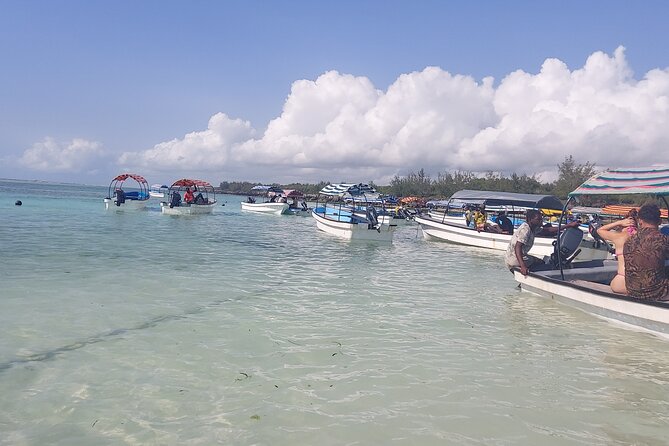 Mnemba Island Snorkeling and Dolphin tour - Why Mnemba Island makes a strong snorkeling day