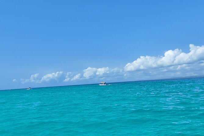 Mnemba Island Snorkeling and Dolphin tour - What you can expect in the Mnemba snorkeling area