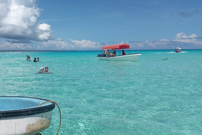 Mnemba Island Snorkeling and Dolphin tour - Seafood barbecue, fruit, and what the $80 covers