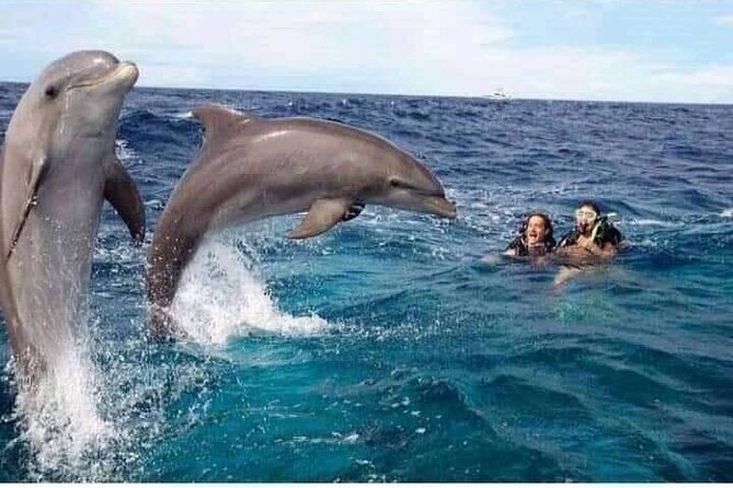 Mnemba Island snorkeling and Swimming with Dolphin - Starting from Nungwi, Kendwa, or Mama Mia Beach