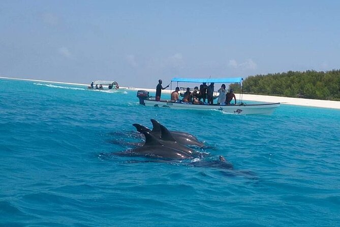 Mnemba Island snorkeling and Swimming with Dolphin - Should you book Captain Barnaba Excursions?