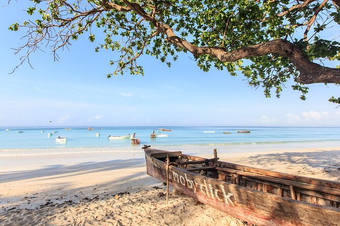 Mnemba Island Snorkeling and Swimming with Dolphins - What the Mnemba Island outing is really about