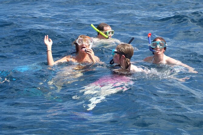 Mnemba Island Snorkeling and Swimming with Dolphins - Looking for dolphins in open water