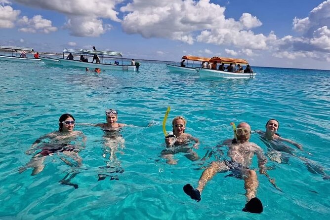 Mnemba island snorkeling tour - Guide service and language