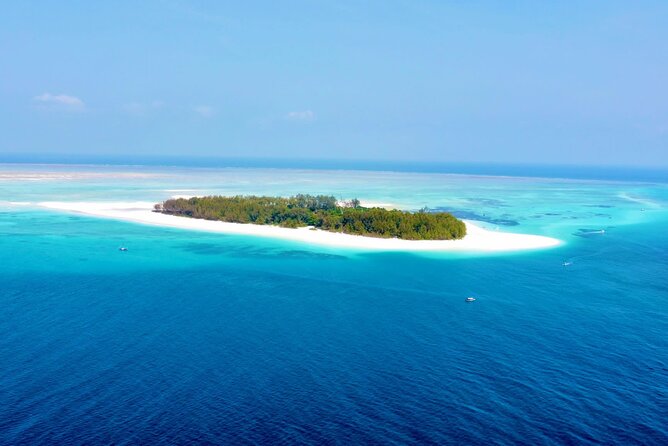Mnemba island snorkeling tour - Snorkeling, swimming, or staying aboard