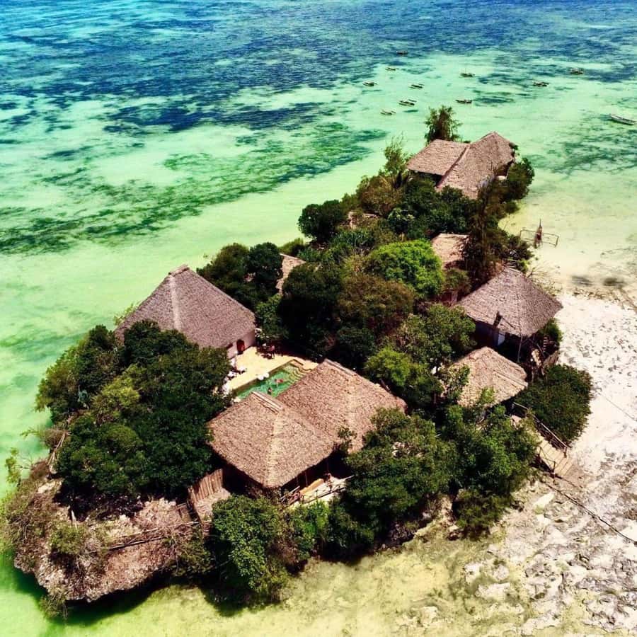Mnemba Island, The Island Pongwe, Blue Lagoon Tour, The Rock - A quieter pause at Starfish Beach