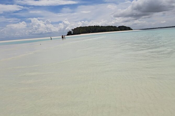 Mnemba Snorkeling, Dolphin and Baraka Natural Aquarium - Dolphin Point and the Luck of the Sea