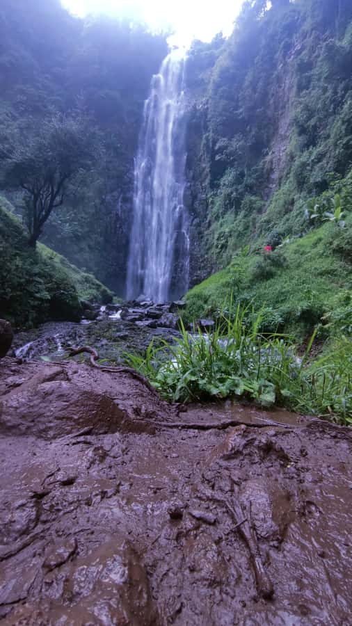 Moshi: A Day Tour To Materuni Waterfall - Useful planning details before you go