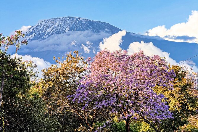 Moshi City Tour: Explore the Foothill of Kilimanjaro on Foot - Key points to know before booking