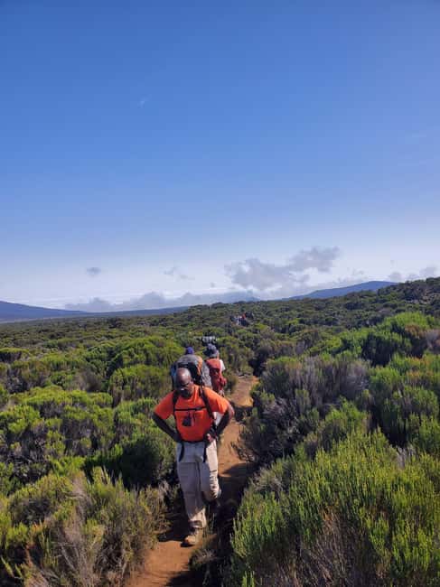 Moshi: Kilimanjaro Climb Marangu Route Guided Tour - The descent back through the forest