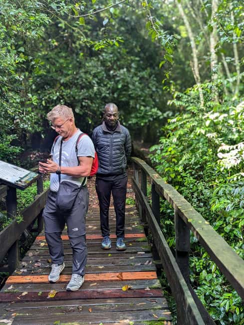 Moshi: Kilimanjaro Climb Marangu Route Guided Tour - What to pack for this 5 to 7 hour hike