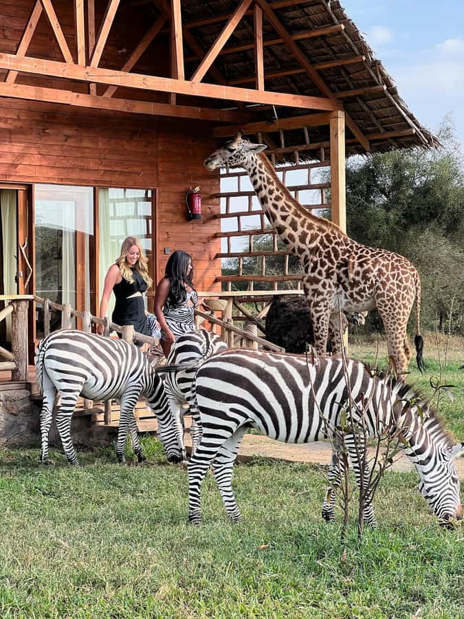 Moshi: Serval Wildlife Tour with food and drinks - What Serval Wildlife Sanctuary is really like