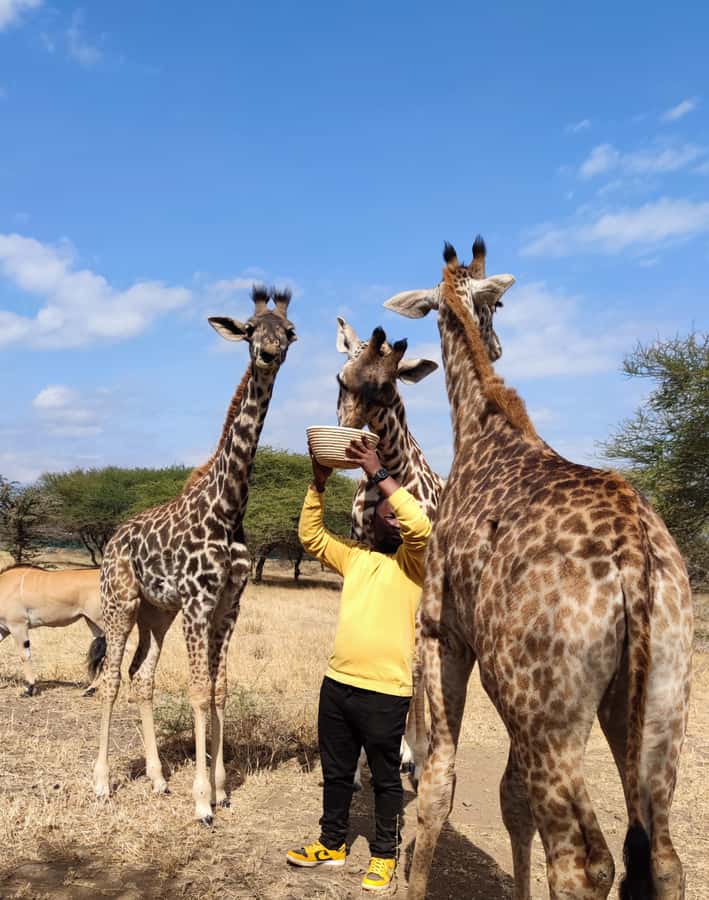Moshi: Serval Wildlife Tour with food and drinks - The 90-minute sanctuary visit