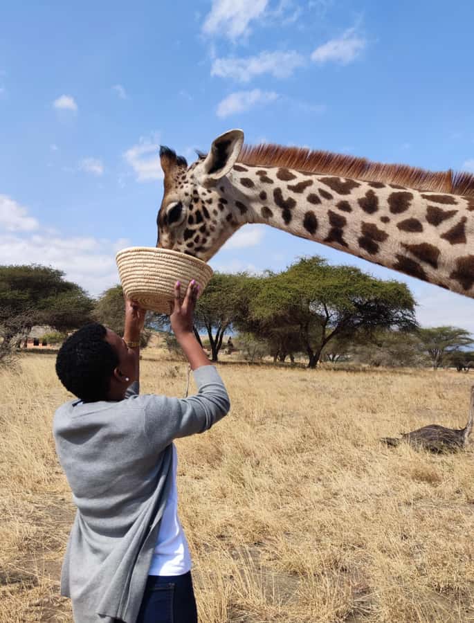 Moshi: Serval Wildlife Tour with food and drinks - The drive from Moshi or Arusha