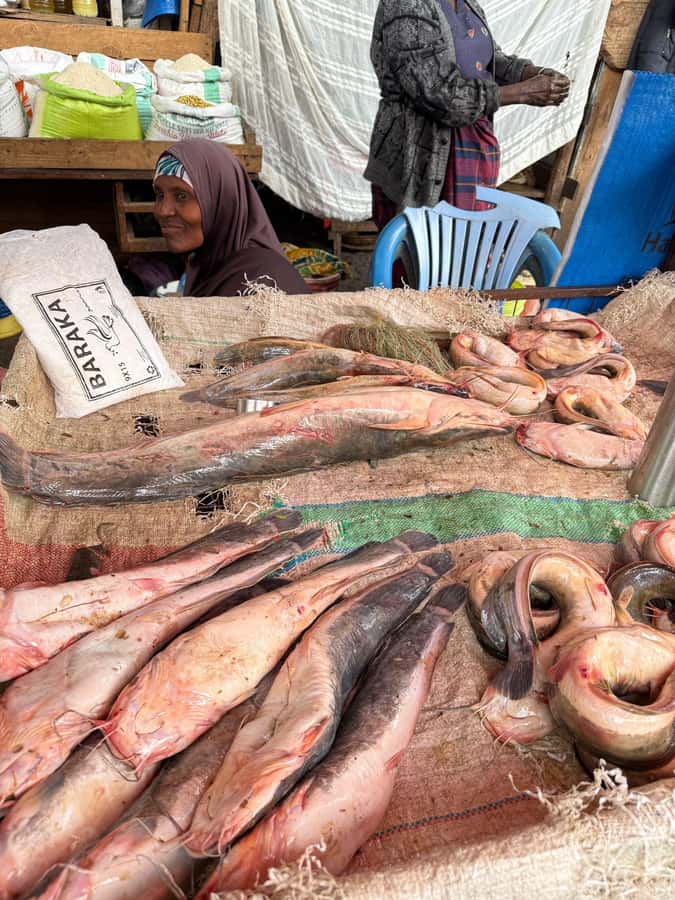 Moshi town 1 day tour - Is $1,000 per person good value?