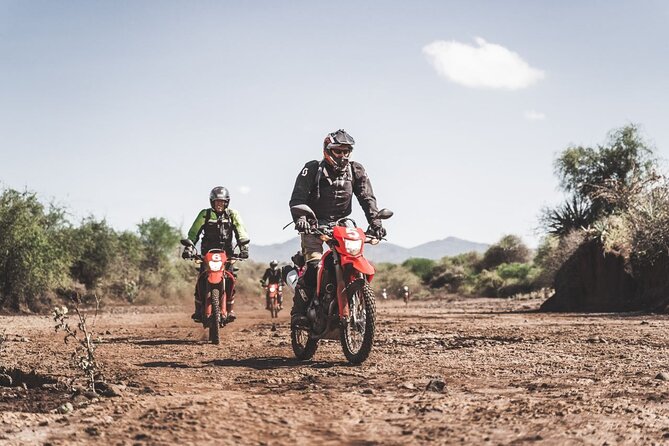 Motorcycle Safari - Wildlife sightings from a motorcycle