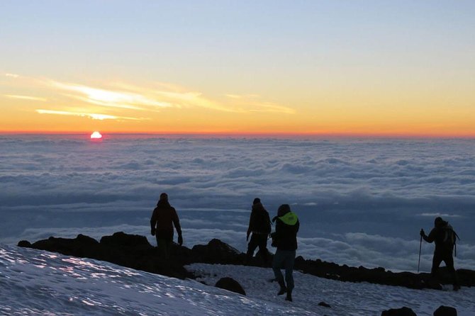 Mount Kilimanjaro 6 days - Machame route - Day six: the long exit through Mweka