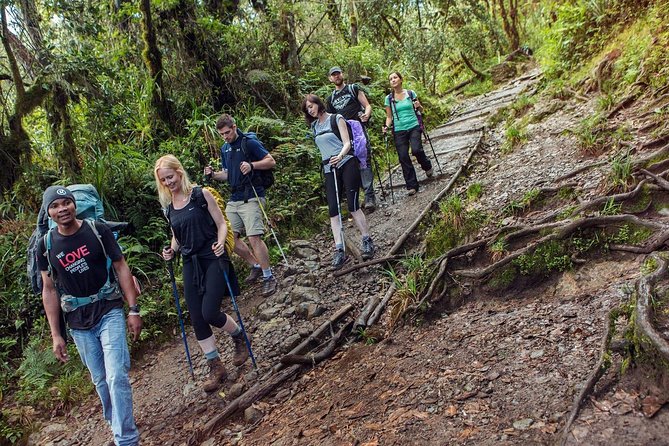 Mount Kilimanjaro 7 Days - Machame Route - Day 3: Shira Plateau, Lava Tower, and Barranco Camp