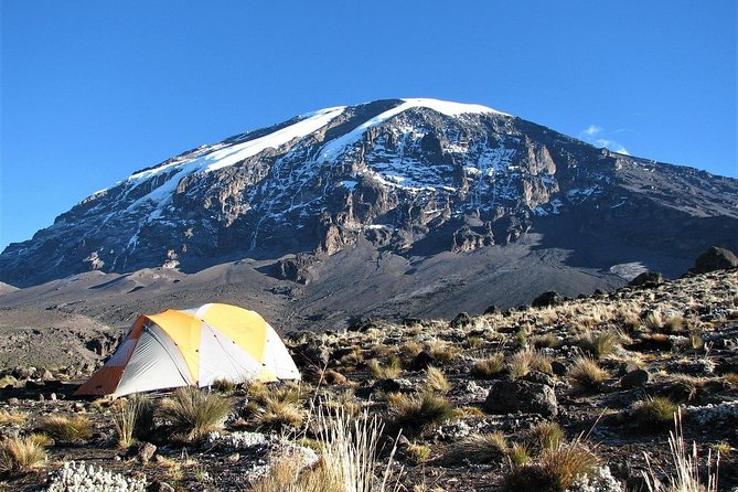 Mount Kilimanjaro 7 Days - Machame Route - Day 6: Barafu Camp to Uhuru Peak and Mweka Camp
