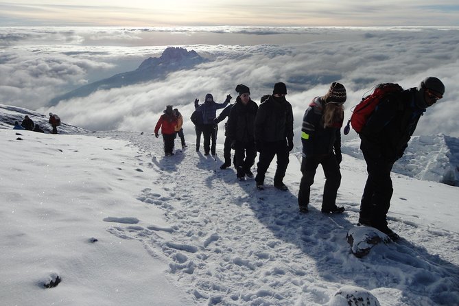 Mount Kilimanjaro 7 Days - Machame Route - Day 2: Machame Camp to Shira Camp