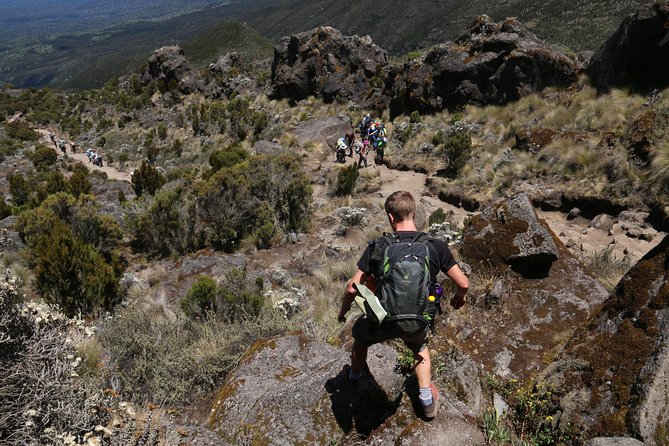 Mount Kilimanjaro Day Hike - The guide makes the biggest difference