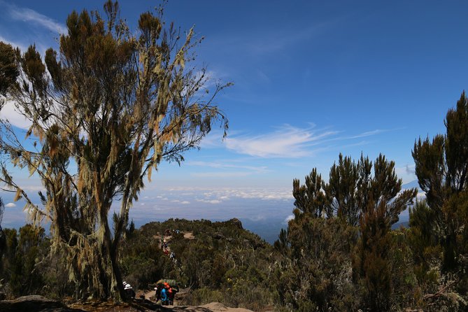 Mount Kilimanjaro Day Hike - What the $267 price includes