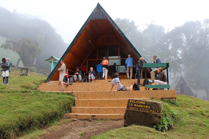Mount Kilimanjaro Day Hike Through Marangu Route to Mandara Hut - The guide can make or break the day