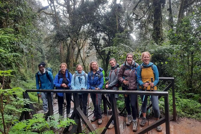 Mount Kilimanjaro Day Hike Through Marangu Route to Mandara Hut - The 6:00 am start from Arusha
