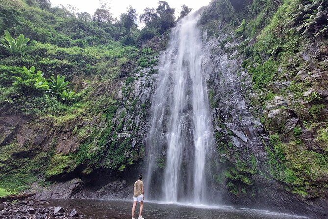 Mount Kilimanjaro day trip trekking - Why this makes a good Kilimanjaro-area day trip