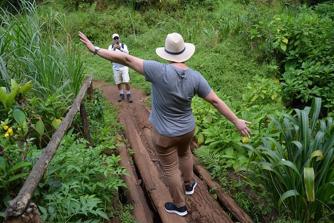 Mount Kilimanjaro day trip trekking - A local coffee lesson from plant to cup
