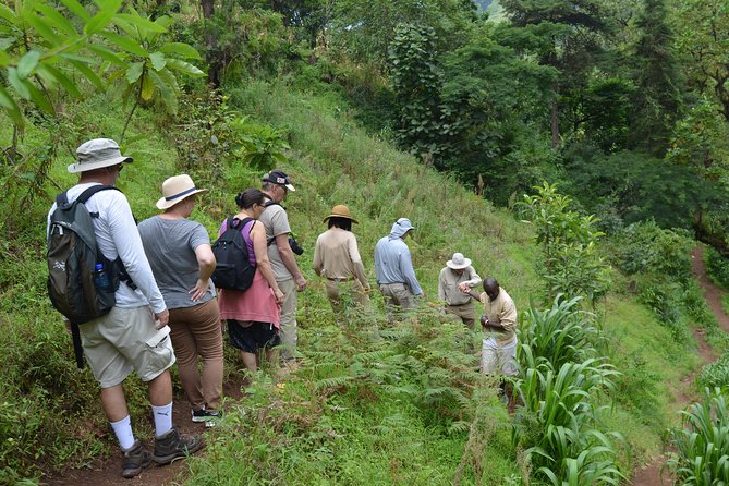 Mount Kilimanjaro day trip trekking - What the $90 price covers