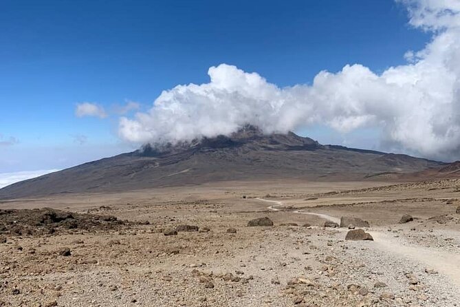 Mount Kilimanjaro - Lemosho Route - Day 4: The Barranco Wall to Karanga Valley