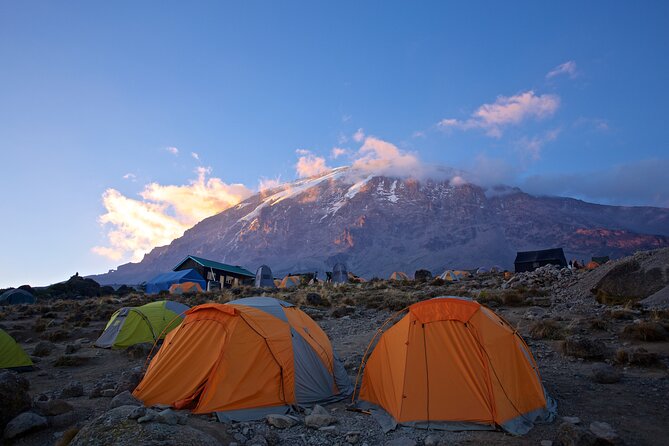 Mount Kilimanjaro - Machame route - Day 2: Moorland and the climb to Shira Camp