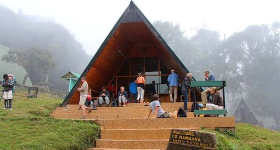 Mount Kilimanjaro National Park Day Trip - Key points to know before booking