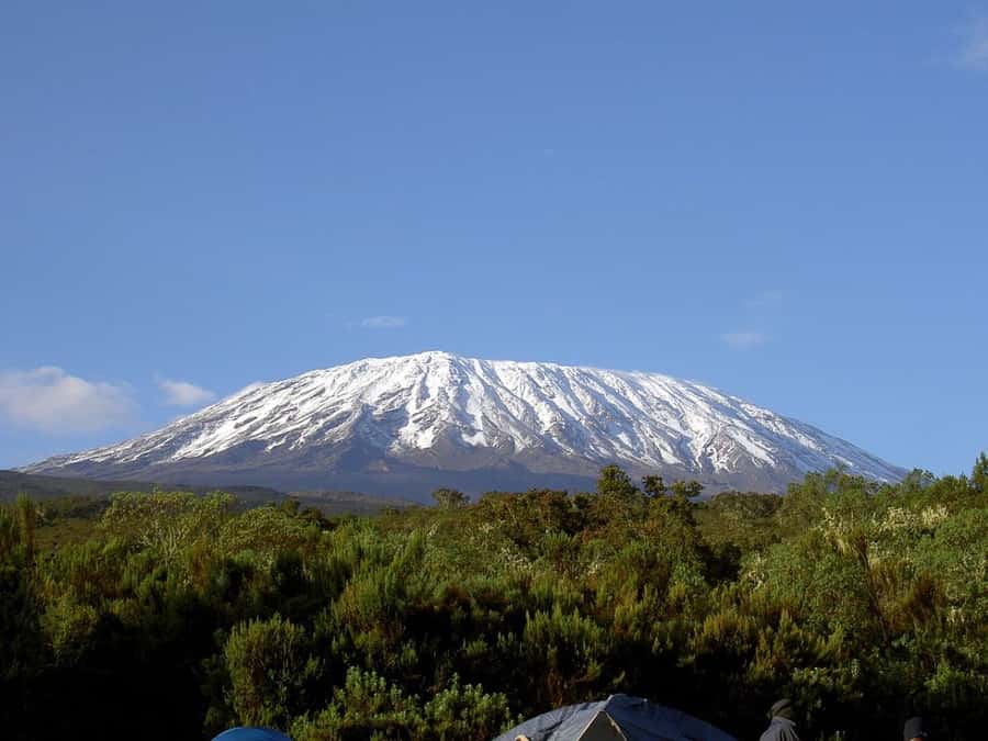 Mount Kilimanjaro National Park Day Trip - Marangu Gate and the first trail briefing