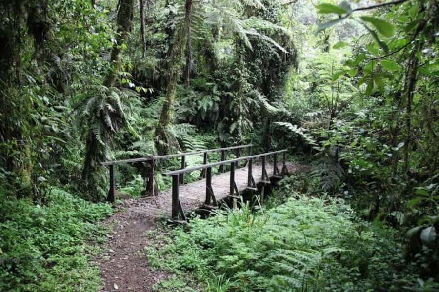 Mount Kilimanjaro National Park Day Trip - Is the $405 price fair?