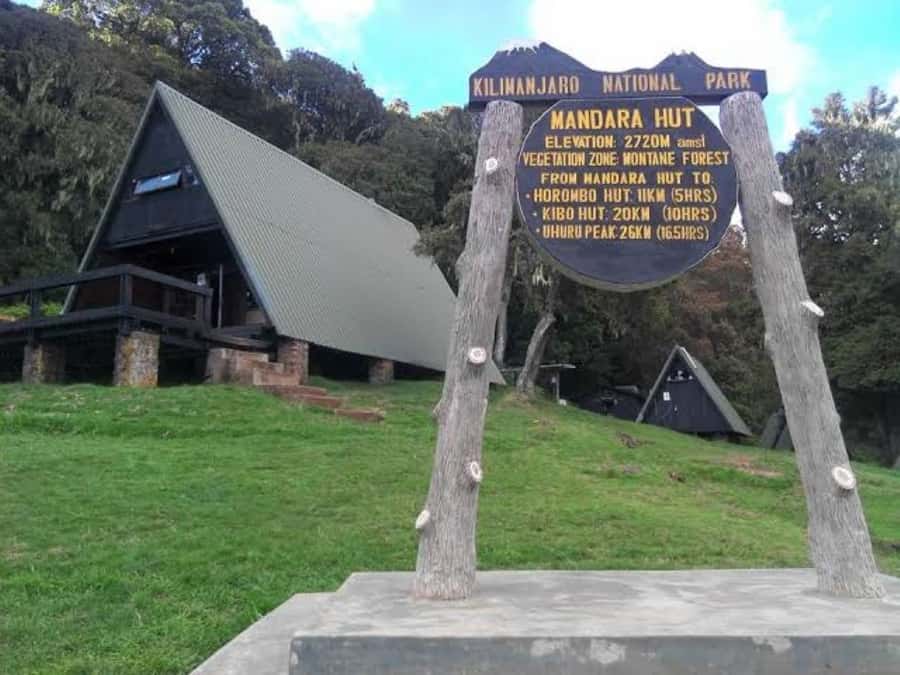 Mount Kilimanjaro National Park Day Trip - Who should book this walk?