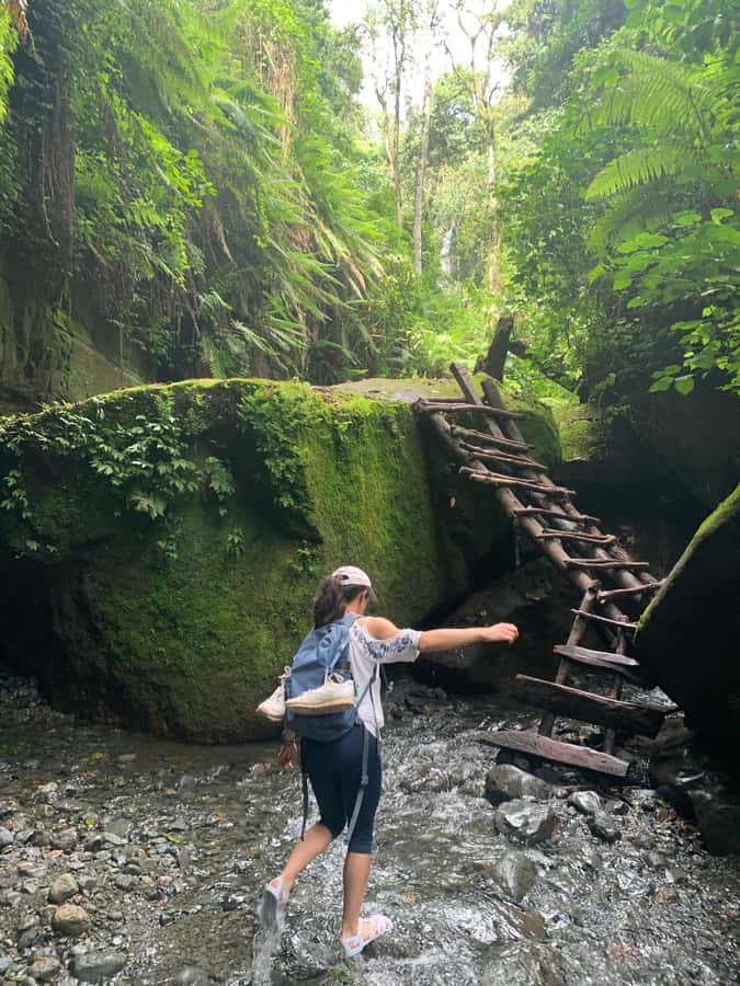 Mount Meru Arusha: Napuru Waterfall Hike by Kingstone Asilia - Why Napuru Waterfall makes a good Arusha day trip